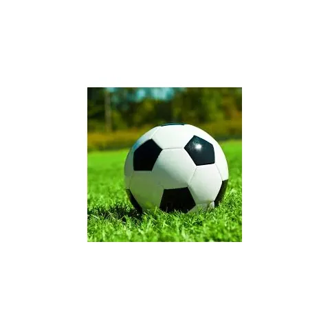 胡明轩：从青涩少年到篮球场上的璀璨明星之路揭秘
